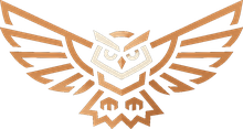 Dark Wing Digital logo